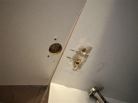 Kitchen Cabinet door came off : r/fixit