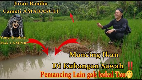 Mancing Ikan Wader Di Sawah Pemancing Lain Gak Bakal Tau Bagjanpb