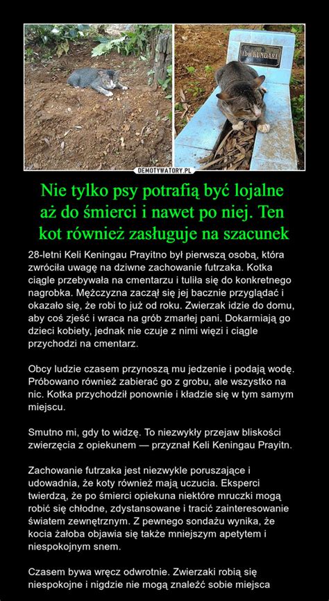 Nie Tylko Psy Potrafi By Lojalne A Do Mierci I Nawet Po Niej Ten