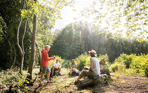 Go Up The Kent Downs Aonb For Unmissable All Year Round Natural