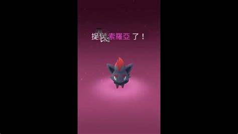 【餛飩】索羅亞 和 南瓜精的異色圖鑑是分開的 和 一些閃光畫面｜pokemon Go｜手遊 Youtube