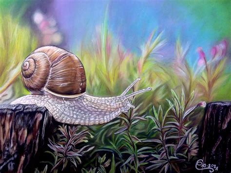 Escargot Réalisation aux CRAYONS PASTELS 08 10 2021 30 Flickr