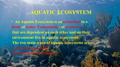 Types Of Ecosystem PPT