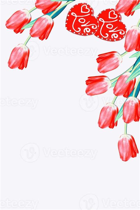 spring flowers tulips 10025838 Stock Photo at Vecteezy