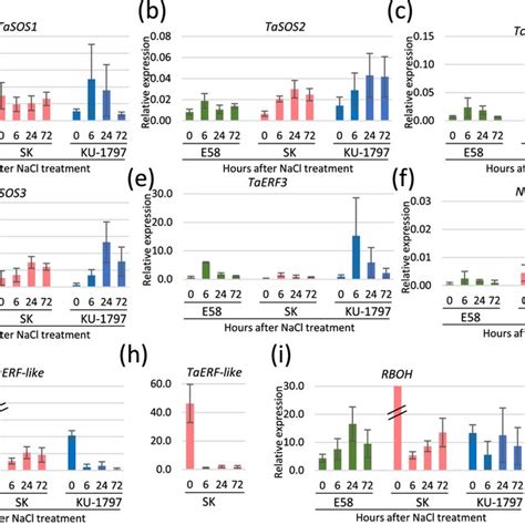 Comparison Of Salt Responsive Gene Expression Pattern In Three Lines