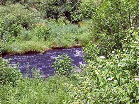 Envirsci Inquiry Lehigh River Watershed Explorations