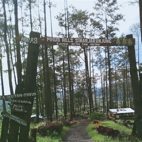 Pinus Hills Simarjarunjung Wisata Alam Hutan Pinus Di Puncak