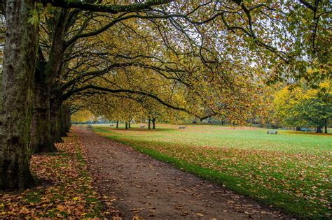 Hyde Park Beautiful Places To Visit Scenery Beautiful Places