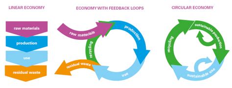 Linear Economy Vs Circular Economy Social Enterprise Guide