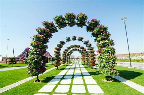 Flowers Pictures | Flowers Wallpapers: Dubai Flower Show