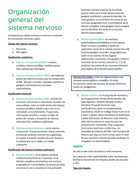 Células DEL Sistema Nervioso Organización general del sistema