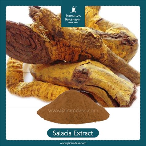 manufacturer  salacia root extract oblongata extract