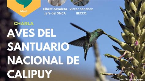 Aves Del Santuario Nacional De Calipuy Iieccocharla Youtube