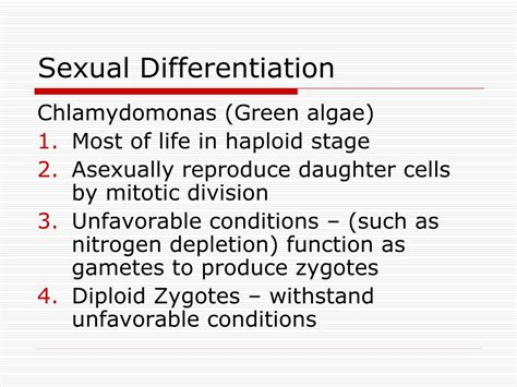 Ppt Sexual Differentiation And Puberty Powerpoint Presentation Free