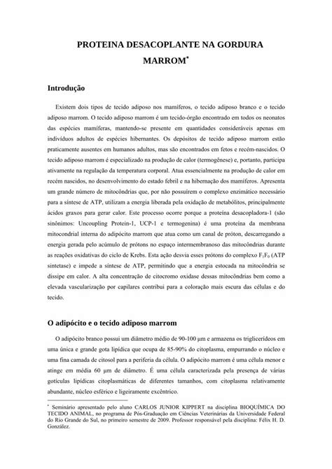 Pdf Proteina Desacoplante Na Gordura Marrom Respira O E