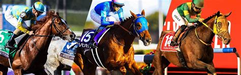 オッズ 2024サウジカップ Jra Van World 海外競馬情報サイト