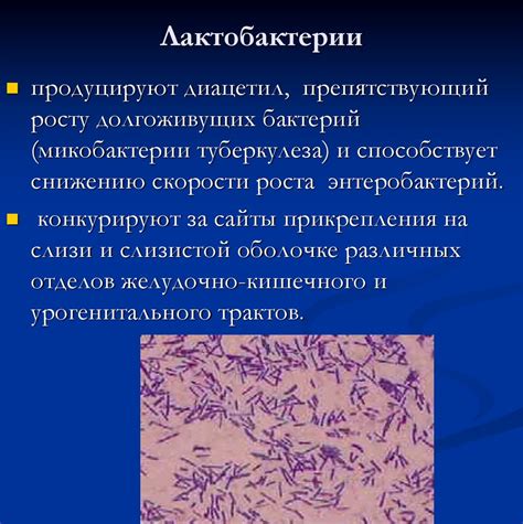 Нормальная микрофлора организма человека - презентация онлайн