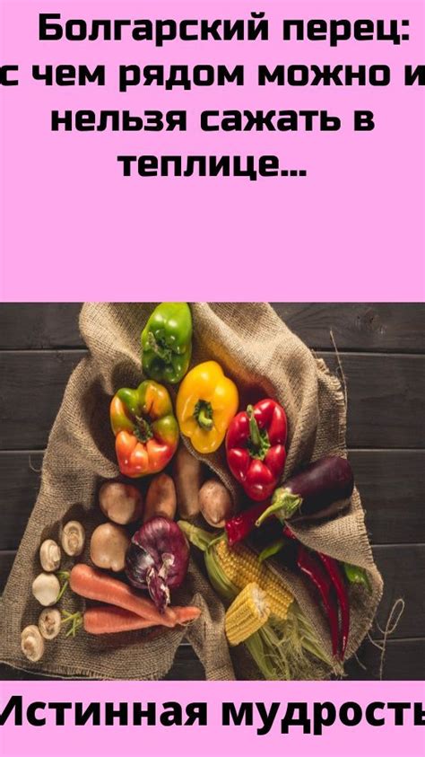 Болгарский перец: с чем рядом можно и нельзя сажать в теплице | Food ...