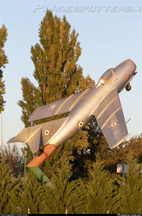 1952 Hungarian Air Force Mikoyan Gurevich MiG 15 Fagot Photo By Farkas