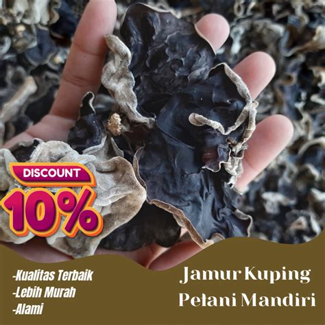 Jual Jamur Kuping Hitam Kering Besar Grade A B Sortir Kualitas Terbaik