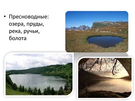 Биогеохимические циклы наиболее жизненно важных биогенных веществ ...