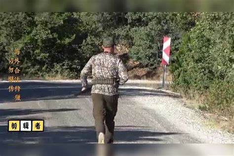 一头慌不择路的野猪跳入池塘，一嘴顶飞猎犬，被猎人3枪送走猎犬池塘野猪