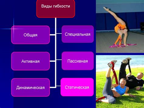 Гибкость как физическое качество человека - online presentation