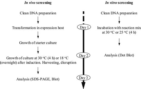 Comparison Between In Vivo And In Vitro Screening Methods The