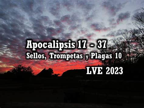 Apocalipsis Sellos Trompetas Y Plagas