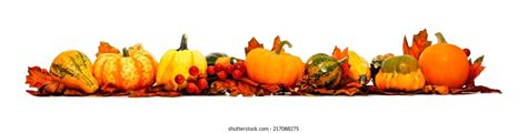 4,033 Pumpkin border isolated Stock Photos, Images & Photography ...