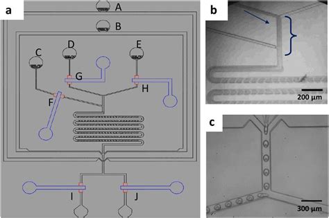 Schematic Illustration Of The Microfluidic Device A Overview Of The