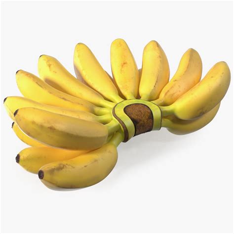 Old Ripe Banana Bunch D Model Ds Blend C D Fbx Max Ma