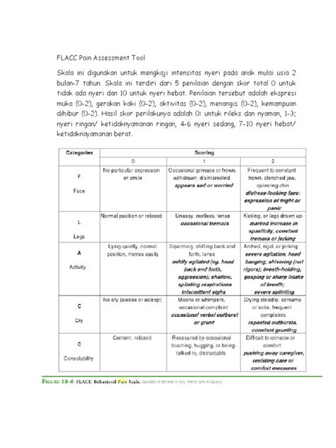 Flacc Pain Assessment Tool Pdf