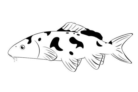 Koi Fish In Black And White Graphic By Annartshock · Creative Fabrica