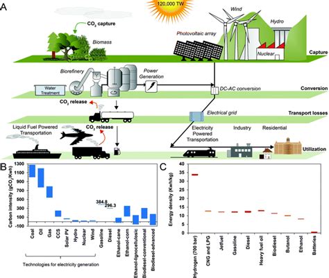 The Role Of Biofuels In The Future Energy Supply Energy