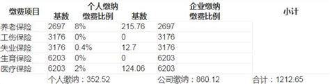 官方最新公布：2023 2024年度绵阳社保缴费比例及缴费基数沃保保险网