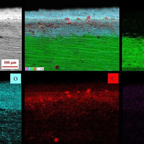 Cross Sectional Sem Images And Eds Mapping Of The Sno G Composite