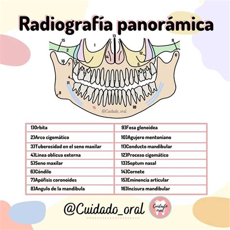 Radiograf A Panor Mica Anestesia En Odontologia Odontolog A