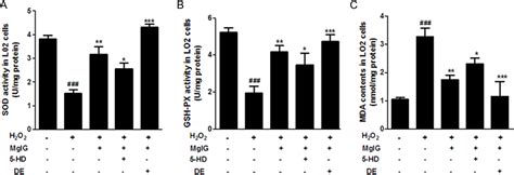 Figure 3 From Magnesium Isoglycyrrhizinate Protects Hepatic L02 Cells