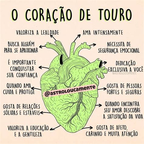 O coração de Touro Conhece alguém um coração assim Taurinos