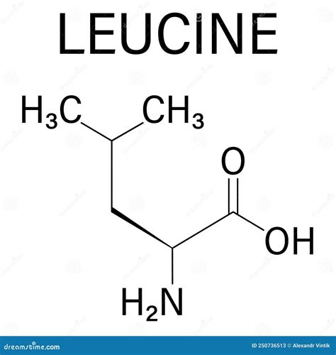 Leucine Or L-leucine, Leu, L Amino Acid Molecule. Skeletal Formula ...