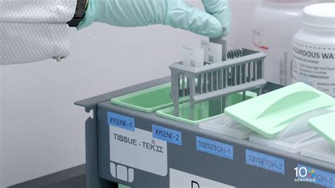 Visium Cytassist Deparaffinization H E Staining Demonstrated Protocol