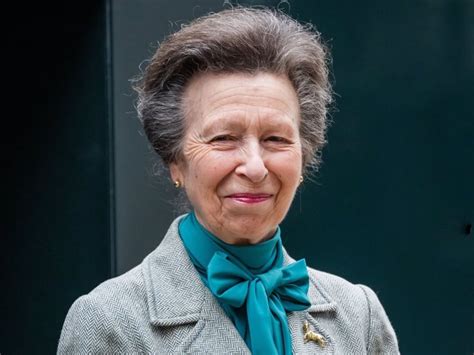 La Princesa Ana De Inglaterra Ingresada Con Una Conmoci N Cerebral