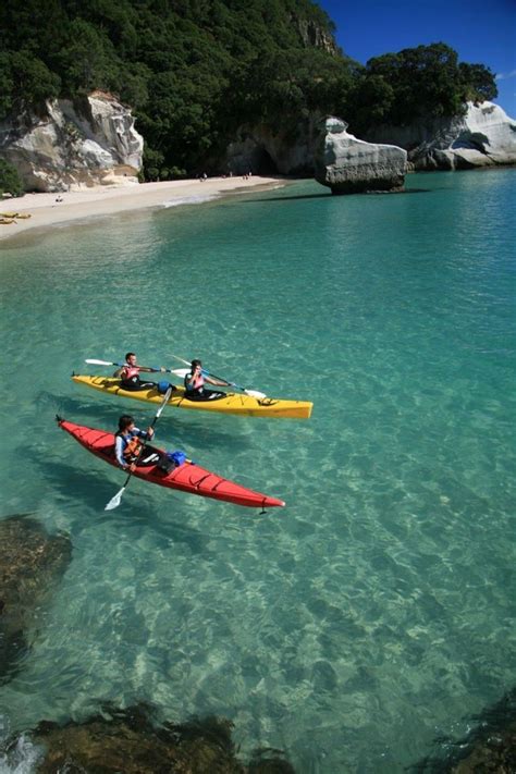 Cathedral Cove Sea Kayaking | Cathedral cove, New zealand travel, Kayaking