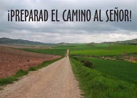 Segundo Domingo De Adviento Preparad El Camino Al Se Or Delegaci N