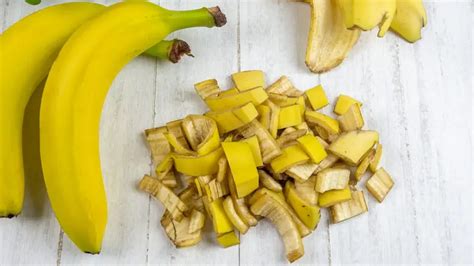 Non Buttate Via Le Bucce Di Banana Trasformatele In Fertilizzante Per