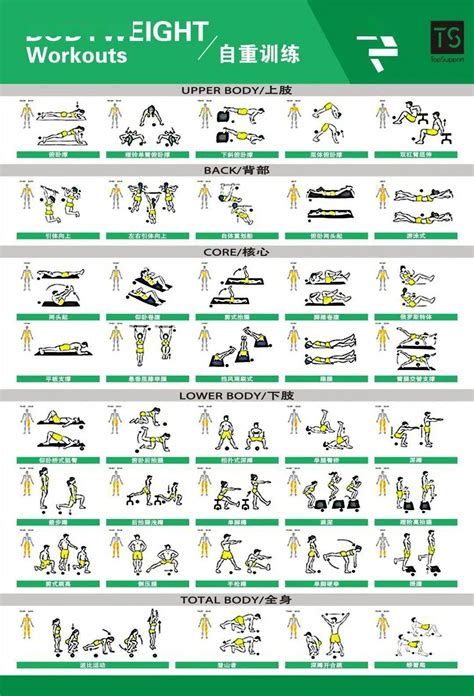 体能训练动作库图解大全 搜狐大视野 搜狐新闻