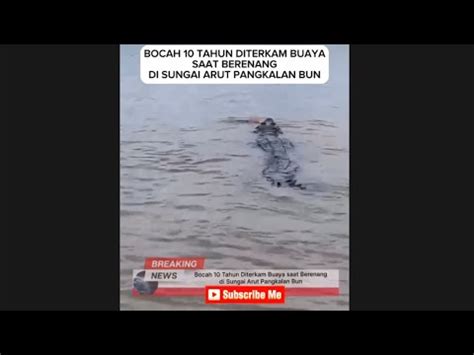 VIRAL BOCAH 10 TAHUN DITERKAM BUAYA SAAT BERENANG DI SUNGAI ARUT