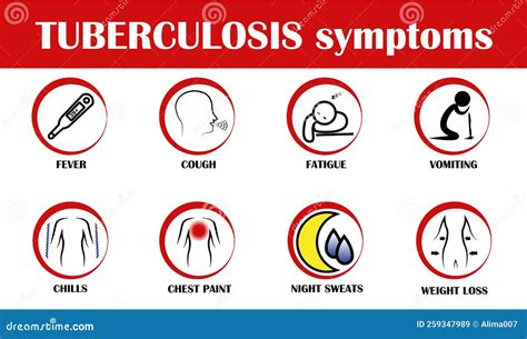 Tuberculosis Signs And Symptoms Infographic Flat Style Vector