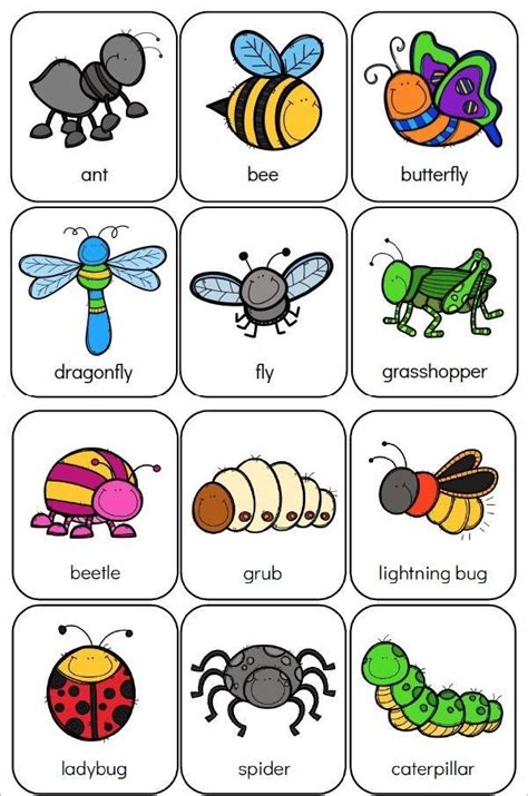 Pin By Rhondafloyd On Lil Tackers Animals Bugs Preschool Preschool